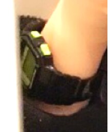 adidas | アナログ腕時計