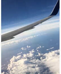 Hawaii | その他