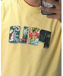POLO RALPH LAUREN(ポロ ラルフ ローレン)の「トップス(Tシャツ/カットソー)」