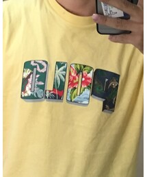 POLO RALPH LAUREN | Tシャツ/カットソー