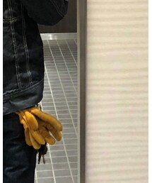 GEIER GLOVE | 手袋