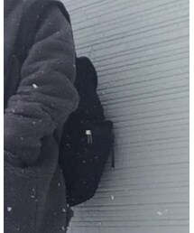 PORTER | バックパック/リュック