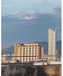 西西和 | ブローチ/コサージュ