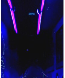 👁👁 | その他