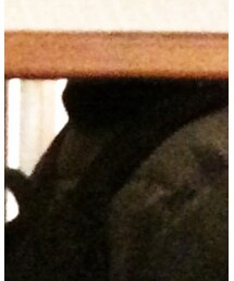 LES (ART)ISTS | パーカー