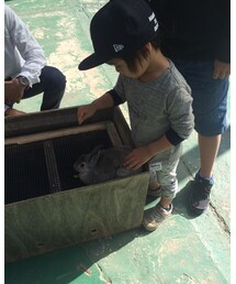 .｡o(♡) | その他