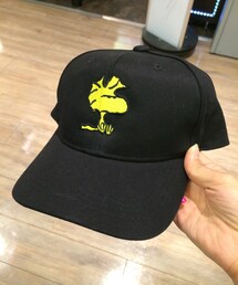 パニカム | キャップ(キャップ)