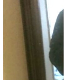 Honeys | ブルゾン(ブルゾン)