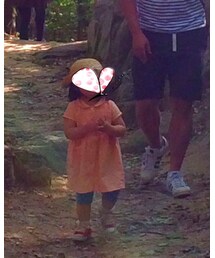 Familiar  | ワンピース