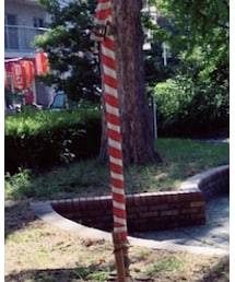 ARROW | Tシャツ/カットソー