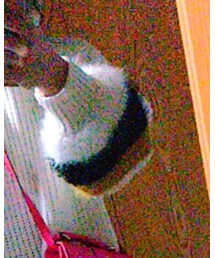 no brand | ニット/セーター