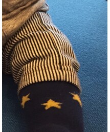 Birthday | その他パンツ