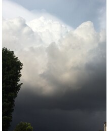 雲行きが‥ | その他