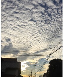 秋空 | その他