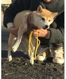足 踏まれた | い いたい 足踏まれた~(おもちゃ)
