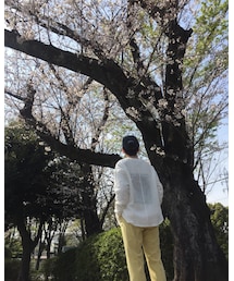 🌸 | フラワーベース