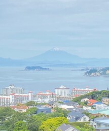 披露山公園から富士山 | アウトドア/スポーツ