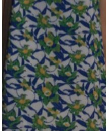 SLY | ワンピース