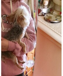 no brand | パーカー