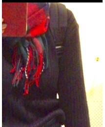 PARROTT CANVAS | バックパック/リュック