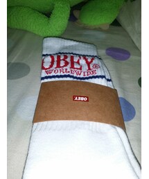 OBEY | ソックス/靴下