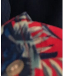 LRG | シャツ/ブラウス