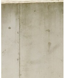 楽天 | スカート