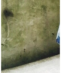 BIRKENSTOCK | サンダル