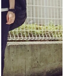 URBAN RESEARCH DOORS WOMENS | パンツ