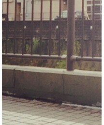 UNIQLO | スカート