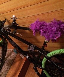 ★ | 羽が抜け落ちて危険なのでやめた笑(その他)