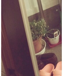 夢展望 | サンダル