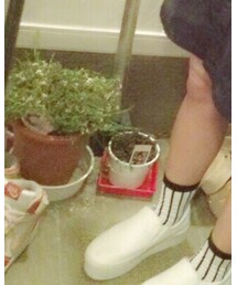 WEGO | ソックス/靴下