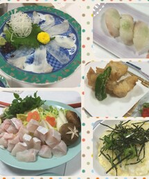 no brand | クエフルコース♡(その他)