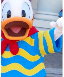 Disney | トゥーンタウンのドナルドです(その他)