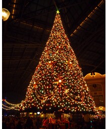 ランドのクリスマスツリー🎄 | その他