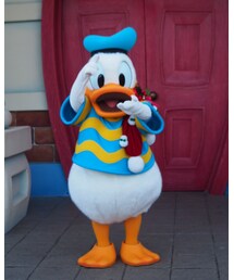 このドナちゃんと写真が撮りたい | その他