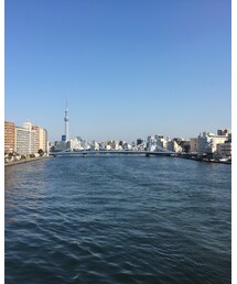 受注会会場へ行く途中の隅田川からのスカイツリー✨ | その他