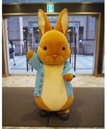 ピーターラビットの可愛さたるや💕 | その他