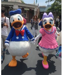 二羽が手をつないで歩いてきたのがカワイイ✨ | その他