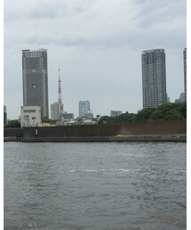 隅田川クルーズからの東京タワー🗼 | その他