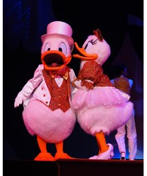 パークファンパーティー〜ドナルド&デイジー | その他