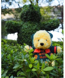 プーさんのぬいばをGET‼️ | その他