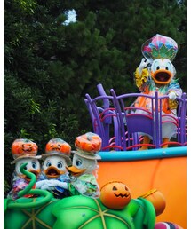 ドナルド一家🎃 | その他