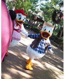 手を繋いで現れたドナデジに震える😂 | その他