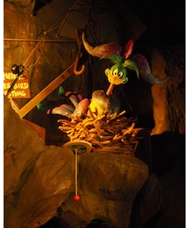 ウッドチャックにいたティッタートゥイル🌳 | その他