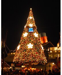 やっと15周年の🎄を撮れました📷 | その他