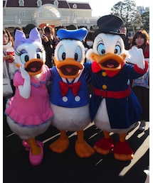 今年は酉年🐔てなわけで家鴨さん達✨ | その他