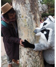 ミーコと木で遊ぶ（笑） | その他