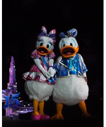 シャインオン夜回〜ドナルド&デイジー | その他